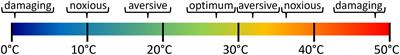 Current Methods to Investigate Nociception and Pain in Zebrafish